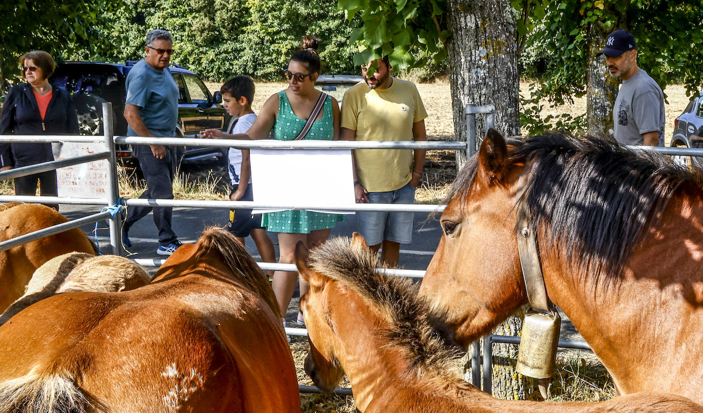 La feria de Angosto, en imágenes