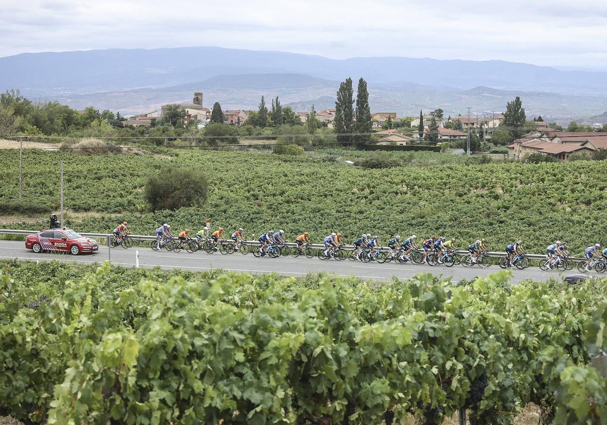 El pelotón se ha adentrado en plena Rioja Alavesa.