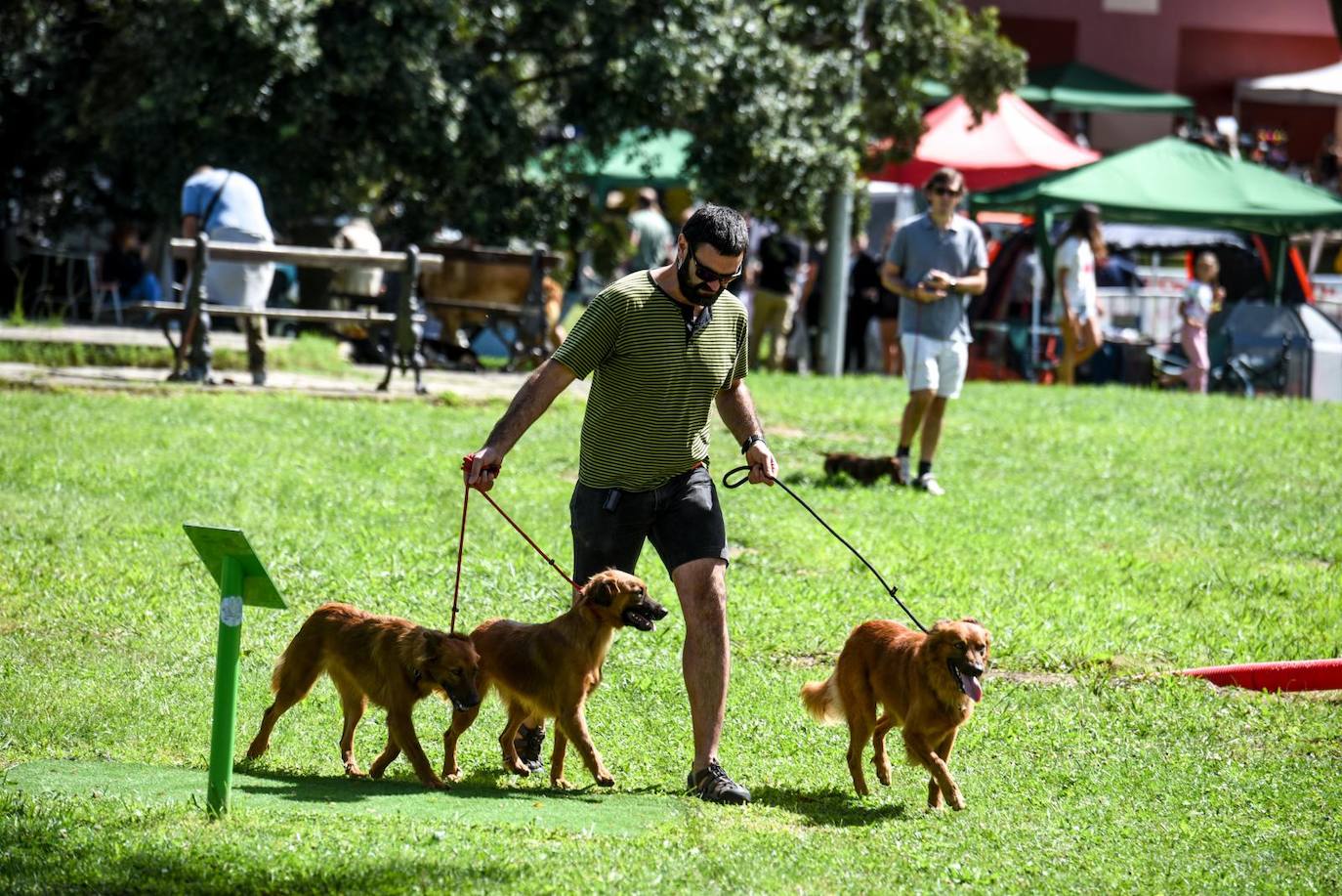 Exposición Internacional y de la Exposición Nacional Canina de Bilbao