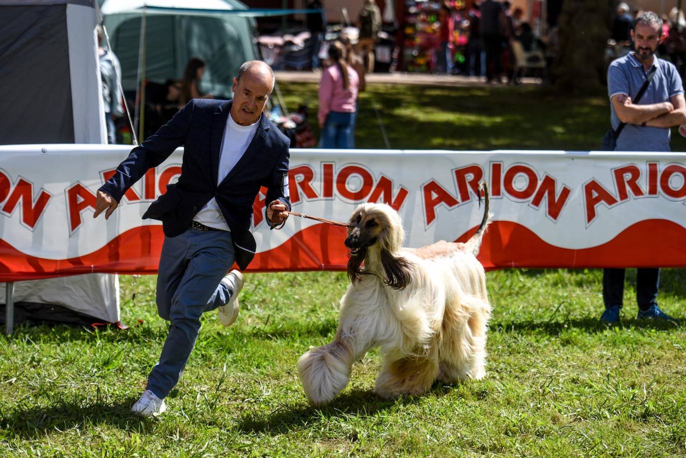 Exposición Internacional y de la Exposición Nacional Canina de Bilbao