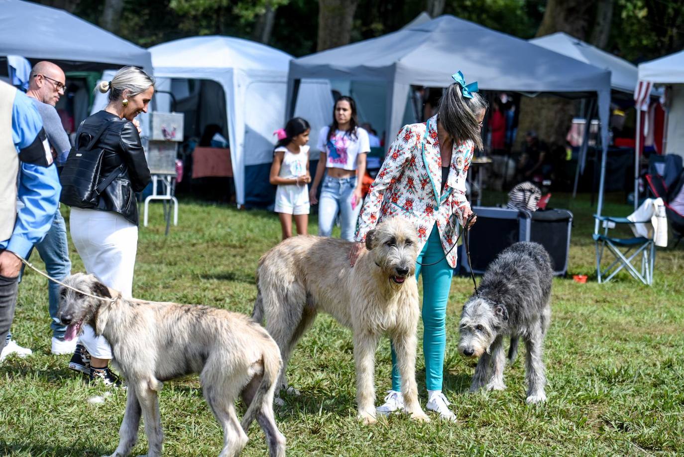 Exposición Internacional y de la Exposición Nacional Canina de Bilbao