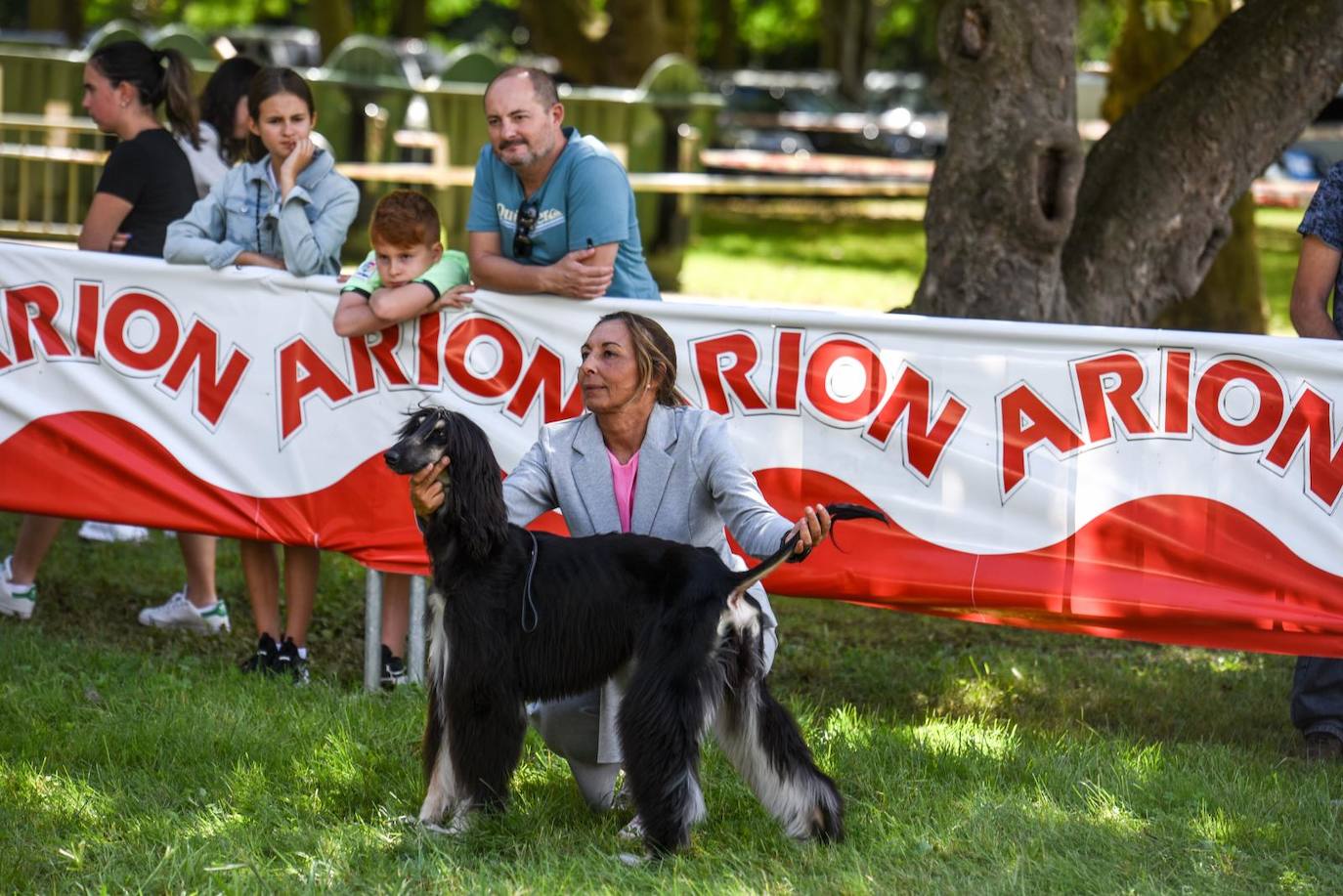 Exposición Internacional y de la Exposición Nacional Canina de Bilbao