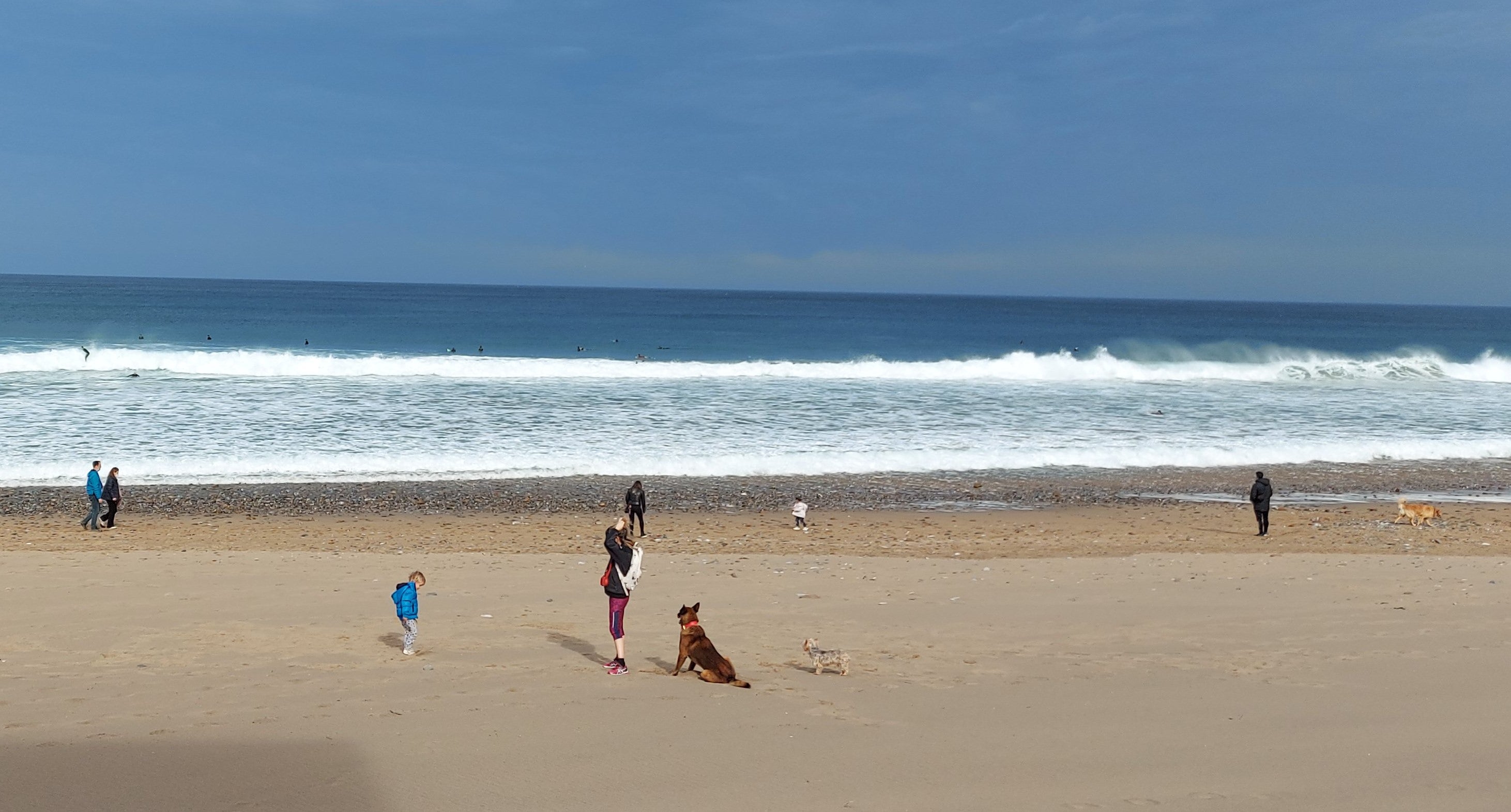 Varias personas disfrutan junto a sus mascotas de un paseo por la playa de Bakio.