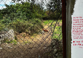 Lío entre vecinos en Orduña por un 'comedor' de gatos callejeros: «Deja de traer a tu perro a comerse su comida, desgraciado»