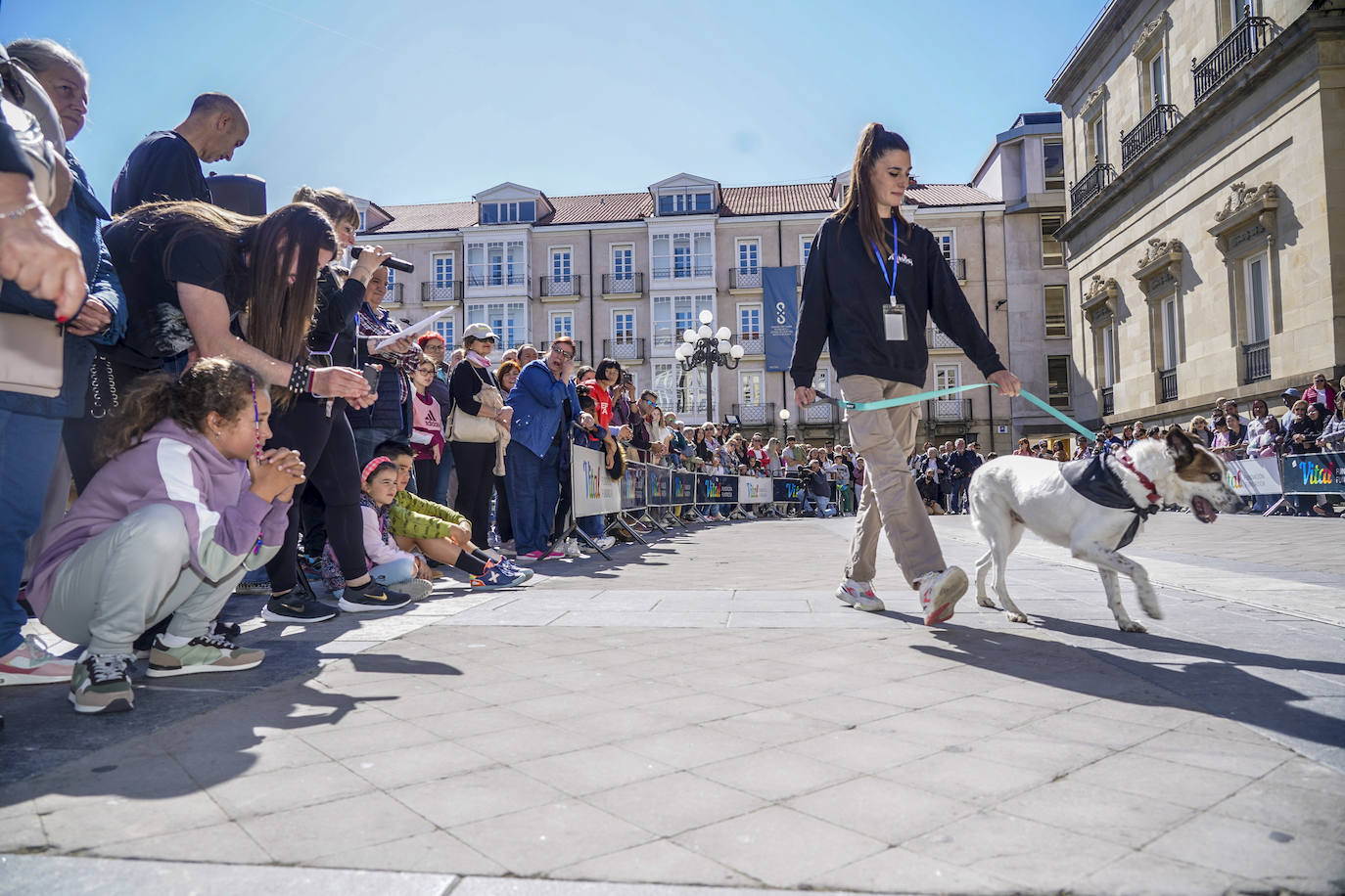 Perros buscan un hogar en la pasarela de Apasos