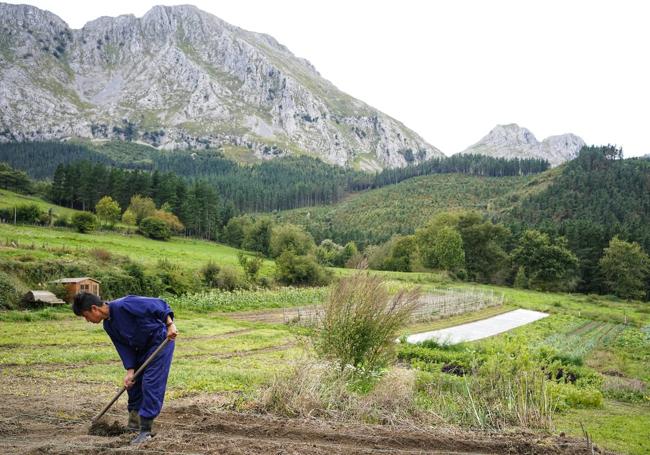 La huerta. En los platos hay crisantemos, tomates, verduras y hortalizas de los 5.000 m2 de huerta que cuida Kazuki Sato.