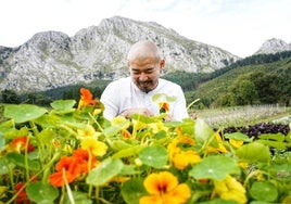 El cocinero japonés Tetsuro Maeda sostiene flores de capuchina, una planta que protege de plagas a la huerta de Txispa en Axpe y que usa en su cocina, a los pies del Anboto.