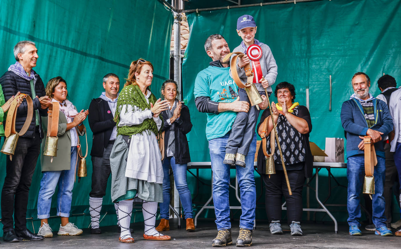 Salvatierra celebra su feria de ganado, que cumple 629 años