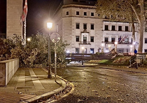 Imagen de un árbol caído junto a Sabin Etxea en Bilbao por el fuerte viento esta noche.