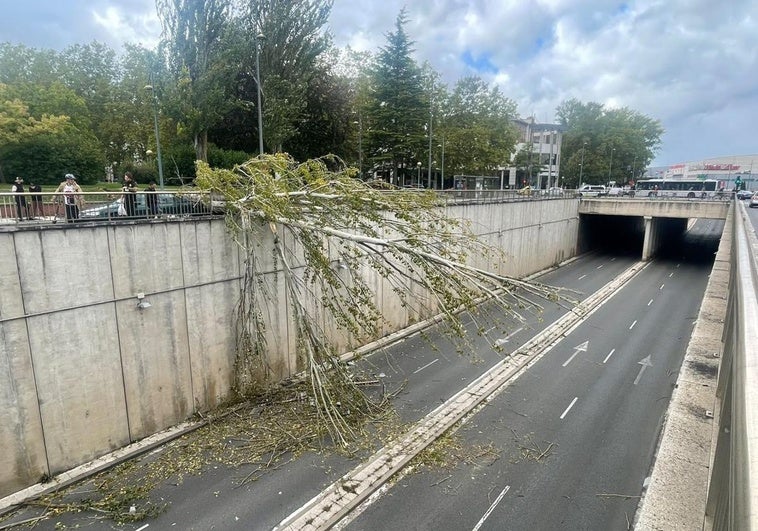 Vídeo de 'Kirk' a su paso por Vitoria