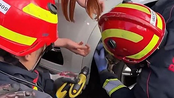 Rescatan a una gata atrapada en el motor de un coche aparcado