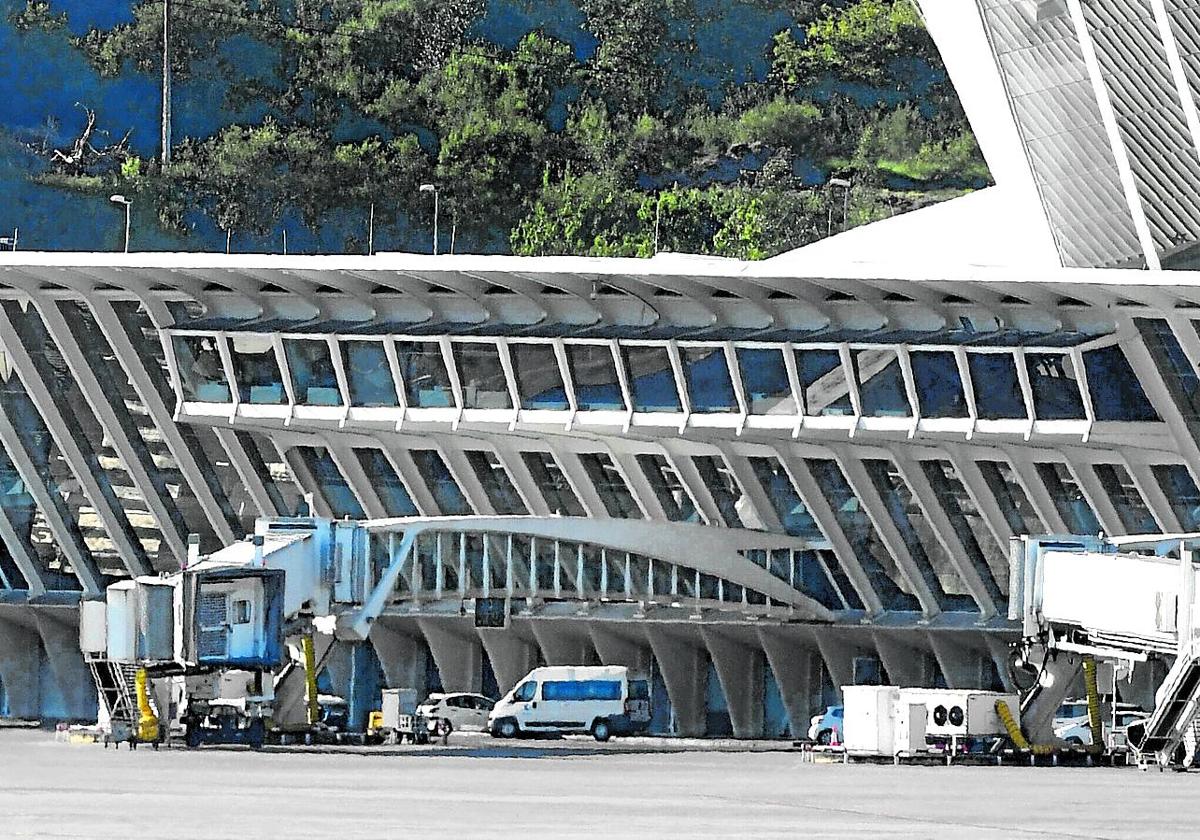 La imagen muestra dos de las seis pasarelas de embarque y desembarque con las que cuenta Loiu y que serán sustituidas por nuevas.