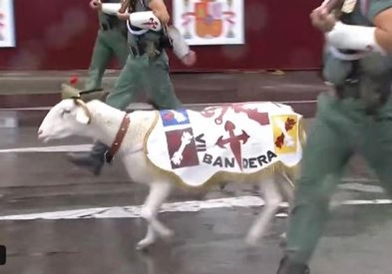 Adiós a la cabra de la Legión: Killo es la nueva mascota que ha desfilado en el Día de la Hispanidad