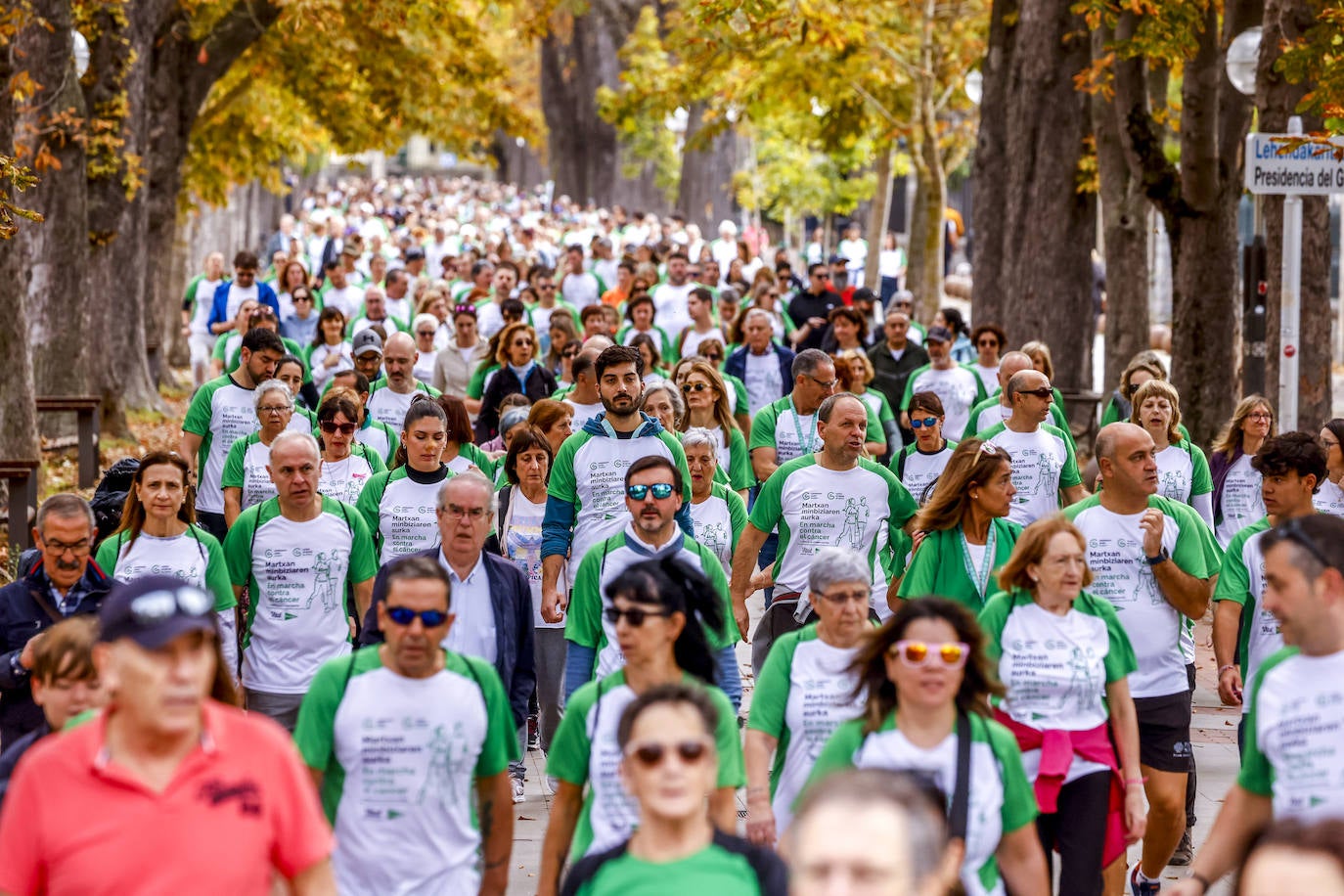 La marcha contra el cáncer, en imágenes