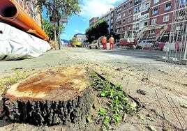 Tocones en Lehendakari Aguirre.