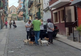 Vecinos del casco viejo de Bermeo pasean a sus mascotas por la calle Andra Mari de la localidad.