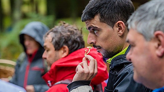 Gorbeialdea pospone a fin de año activar el coto de setas