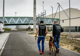 Ertzainas de la unidad canina acceden al interior de la prisión alavesa de Zaballa.