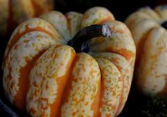 Calabaza