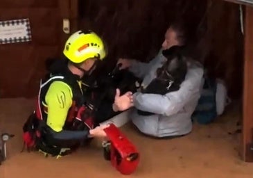 El emocionante rescate de una mujer y sus mascotas, puentes destrozados, conductores atrapados...