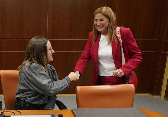 La consejera María Jesús San José, de pie, en el Parlamento vasco.