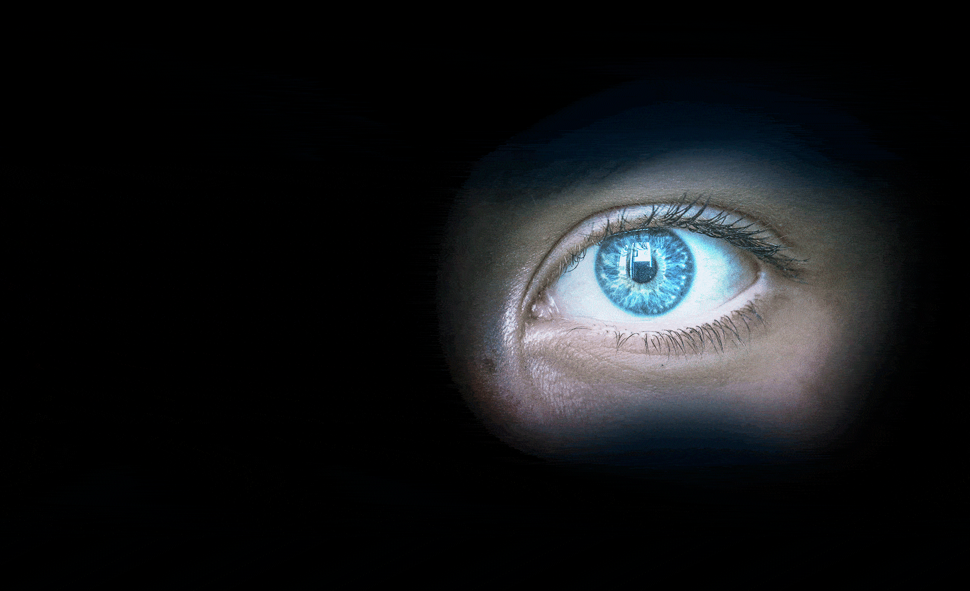 Scroll Story imagen 1