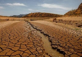 Sequía en una superficie de Ardales, cerca de Málaga.