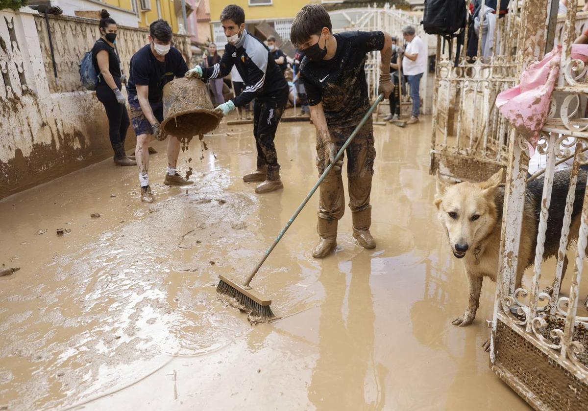 Vecinos limpian calles y viviendas en la localidad de Alfafar.