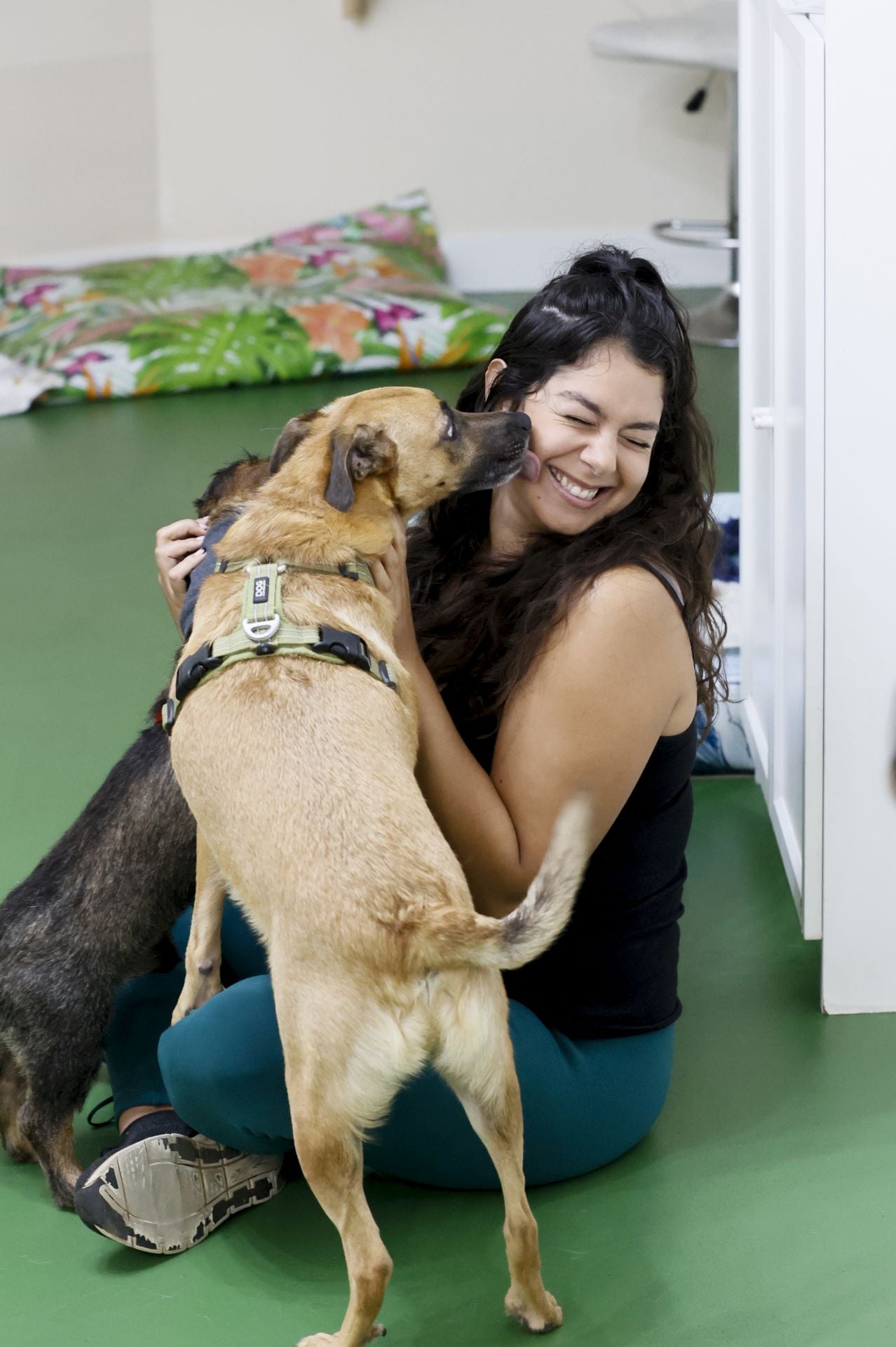 Una inglesa y una hawaiana abren la única guardería canina del centro de Bilbao: «Se lo pasan bomba»