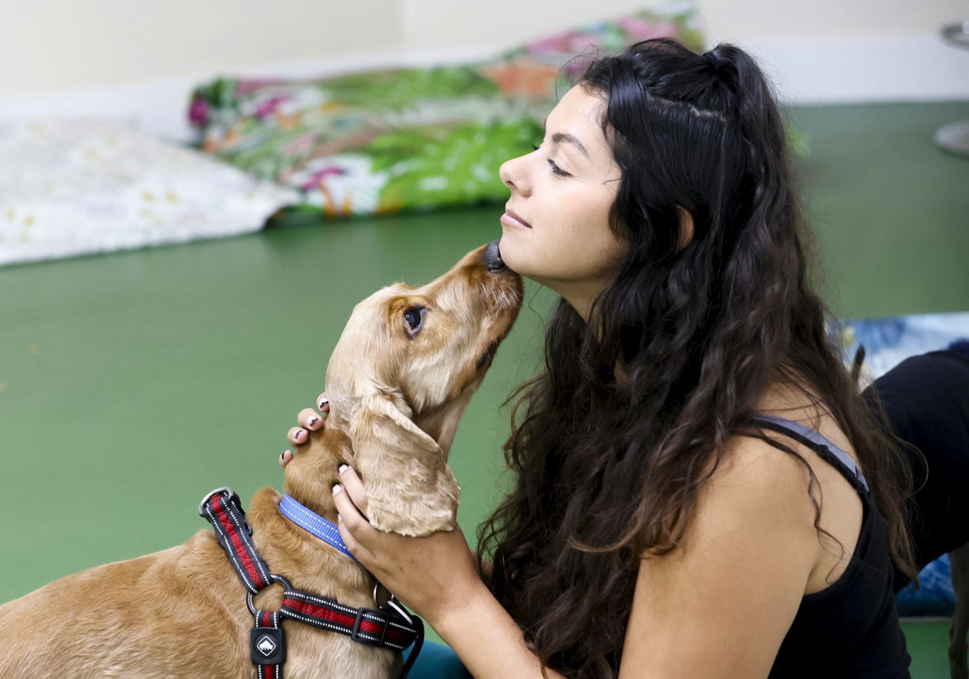 Una inglesa y una hawaiana abren la única guardería canina del centro de Bilbao: «Se lo pasan bomba»