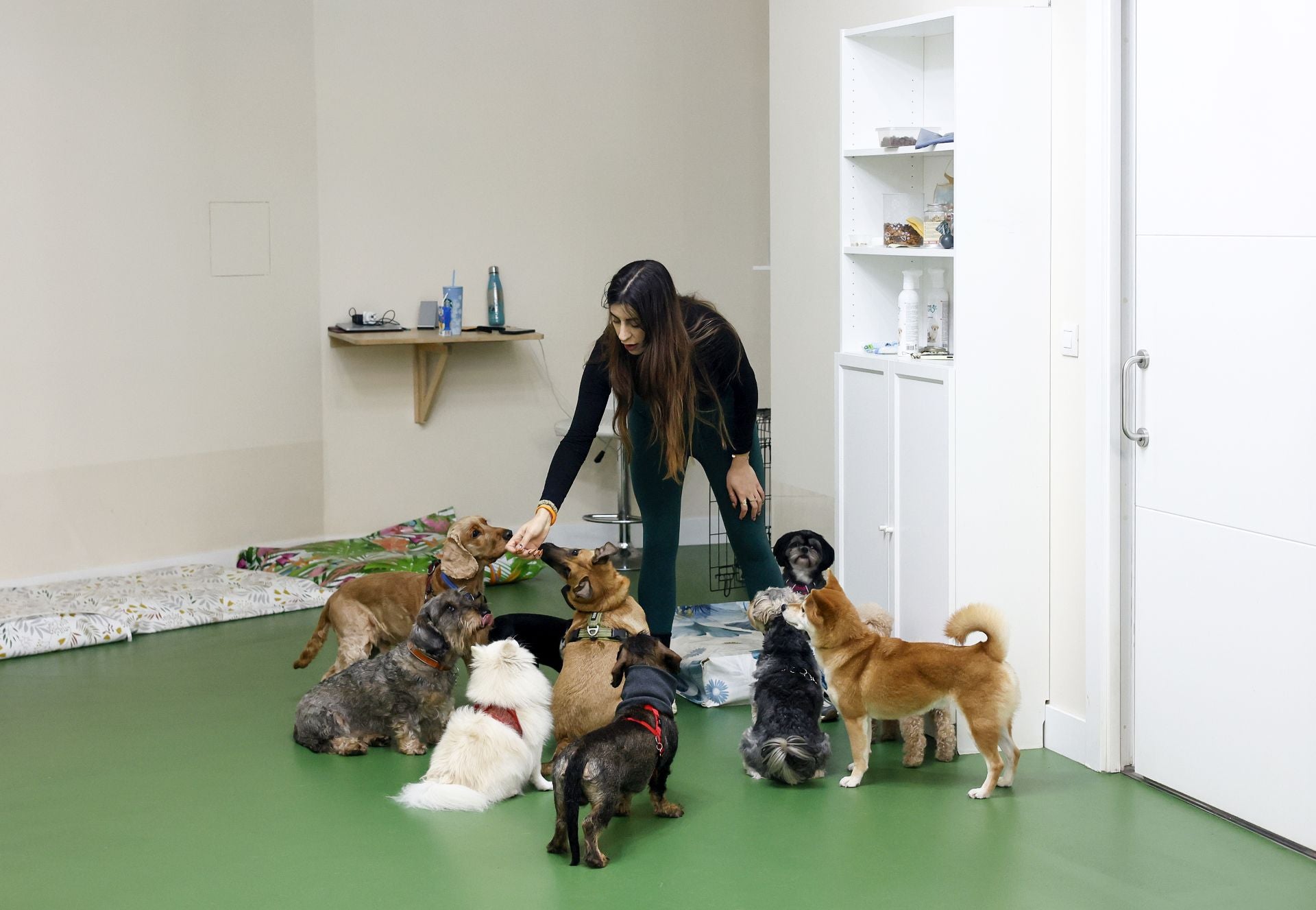 Una inglesa y una hawaiana abren la única guardería canina del centro de Bilbao: «Se lo pasan bomba»