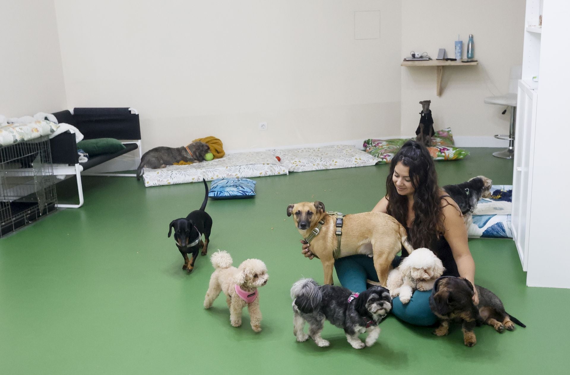 Una inglesa y una hawaiana abren la única guardería canina del centro de Bilbao: «Se lo pasan bomba»