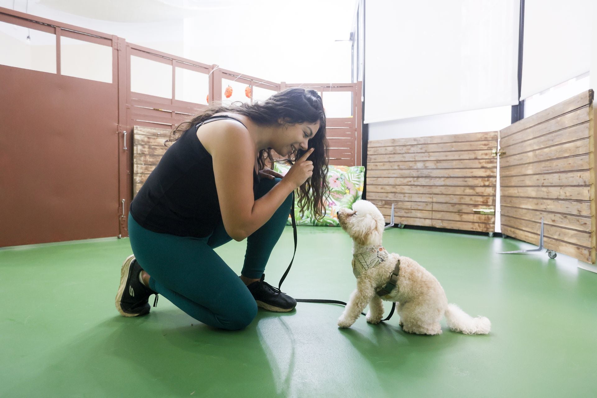 Una inglesa y una hawaiana abren la única guardería canina del centro de Bilbao: «Se lo pasan bomba»