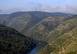 ¿Puede el aumento del polvo atmosférico disminuir la temperatura del planeta?