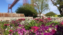 Detalle del jardín situado en Las Arenas junto al Puente Colgante y donde se han registrado robos.