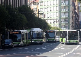 El nuevo servicio a demanda de Bizkaibus podría implantarse hasta en 40 municipios