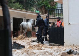 Una imagen tomada mientras que se rescataban los caballos de los establos anegados.