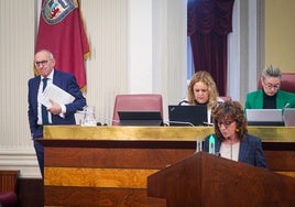 El diputado general de Álava, Ramiro González, accede al salón de plenos durante la intervención de Eva López de Arroyabe (EH Bildu).