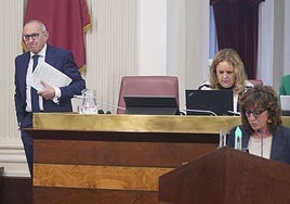 Un momento del Pleno de las Juntas Generales de hace una semana.