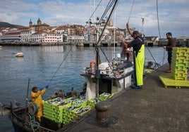 Varios arrantzales descargan verdel en el puerto de Bermeo.