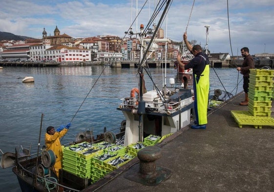 Varios arrantzales descargan verdel en el puerto de Bermeo.