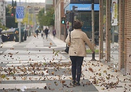 El viento podría alcanzar los 100 kilómetros esta tarde en algunas zonas de Álava