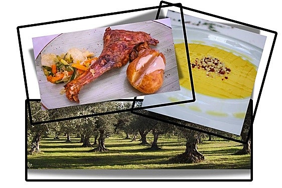 Aceite, chivoy porras