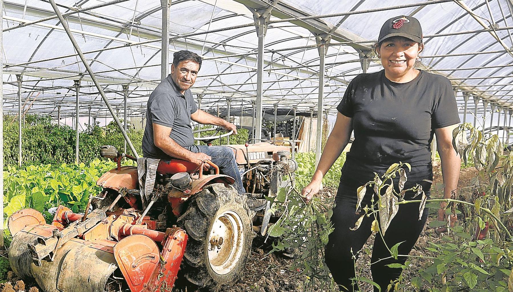 Imagen - Raúl Rosas produce en dos explotaciones en Arrankudiaga y Lezama junto a su mujer, Mary.