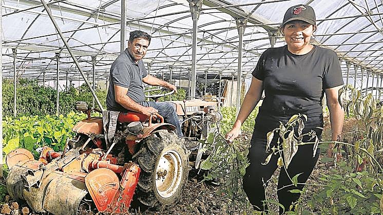 Imagen - Raúl Rosas produce en dos explotaciones en Arrankudiaga y Lezama junto a su mujer, Mary.