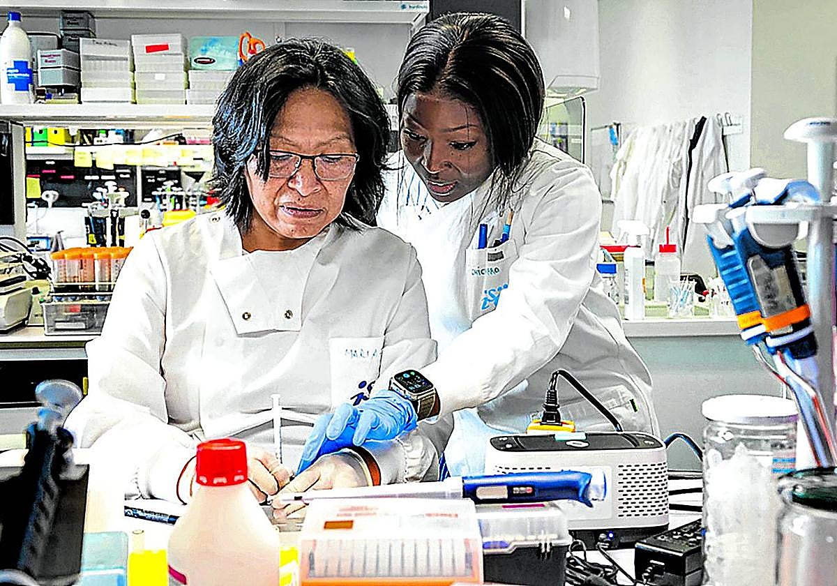 Trabajos en uno de los proyectos financiados por Anesvad para mejorar la salud en África subsahariana.