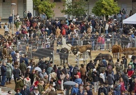 Las personas se reúnen en una pasada edición de la feria agrícola y ganaera de Leioa.