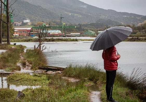 Un paseante, con la empresa Astilleros Murueta de fondo, donde está proyectado el Guggenheim de Urdaibai.