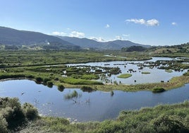 Imagen de las marismas de la Reserva de la Biosfera de Urdaibai.