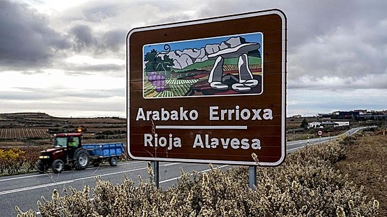 La Diputación «respeta» que Viñedos de Álava recurra ante el Supremo el fallo que 'tumba' su denominación